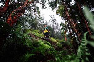 BIB: 
                            <button type="button" onclick="openModal(26205571)" class="btn btn-primary btn-sm float-right btn-popup" data-toggle="modal" data-target=".modal-high-quality">
                        <i class="fas fa-shopping-cart"></i> Add to Cart
                    </button>
                                            <button type="button" onclick="isThisMe(26205571, true)" class="btn btn-success btn-sm float-right btn-popup btn-isme hidden" data-toggle="tooltip" data-placement="bottom" title="นี่คือรูปของคุณใช่ไหม คลิกที่นี่เพื่อเอาเข้าอัลบั้ม">
                        <i class="fas fa-plus"></i> Add to album
                    </button>
                    <button type="button" onclick="isThisMe(26205571, false)" class="btn btn-warning btn-sm float-right btn-popup btn-isnotme hidden">
                        <i class="fas fa-ban"></i> Remove from album
                    </button>